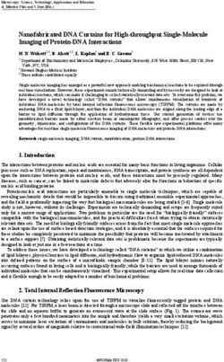 Nanofabricated DNA Curtains for High-throughput Single-Molecule Imaging of Protein-DNA Interactions