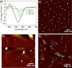 PH- and concentration-dependent supramolecular self-assembly of a naturally occurring octapeptide - Beilstein Journal of Organic Chemistry