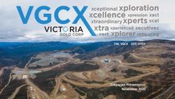 TSX. VGCX OTC: VITFF Corporate Presentation November 2020 - Victoria Gold Corp.