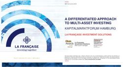 A DIFFERENTIATED APPROACH TO MULTI-ASSET INVESTING - Veritas ...