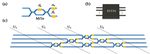 Photonic Matrix Computing: From Fundamentals to Applications