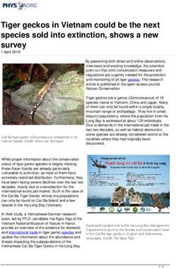 Tiger geckos in Vietnam could be the next species sold into extinction, shows a new survey - Phys.org