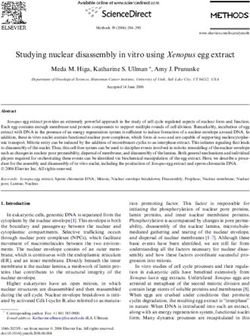 Studying nuclear disassembly in vitro using Xenopus egg extract