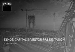 ETHOS CAPITAL INVESTOR PRESENTATION - 28 SEPTEMBER 2020
