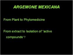 ARGEMONE MEXICANA From Plant to Phytomedicine From extract to Isolation of "active compounds"?