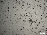 Mechanical and microstructural analysis in the welding of ductile cast iron by TIG procedure, with different filler materials and air cooling