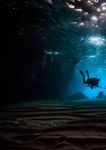 How does security evolve from bolted on to built-in? - Bridging the relationship gap to build a business aligned security program. EY Global ...