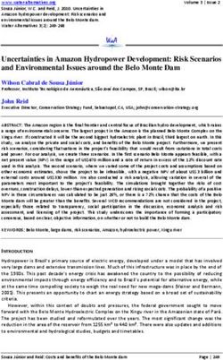 Uncertainties in Amazon Hydropower Development: Risk Scenarios and Environmental Issues around the Belo Monte Dam