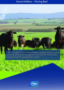 Animal Welfare - Marfrig Beef - The Marfrig Beef Animal Welfare Program program seeks to ensure the safety and humane management of animals and is ...