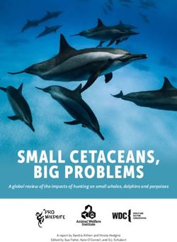 SMALL CETACEANS, BIG PROBLEMS - A global review of the impacts of hunting on small whales, dolphins and porpoises - Pro Wildlife