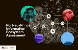 Port-au-Prince Information Ecosystem Assessment - Internews