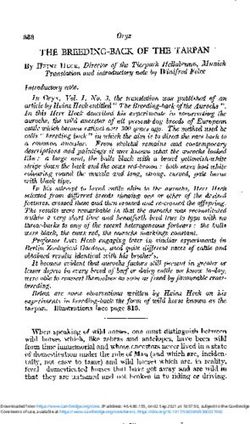 THE BREEDING-BACK OF THE TARPAN