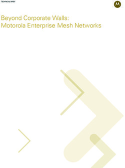 Beyond Corporate Walls: Motorola Enterprise Mesh Networks