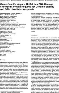 Caenorhabditis elegans HUS-1 Is a DNA Damage Checkpoint Protein Required for Genome Stability and EGL-1-Mediated Apoptosis