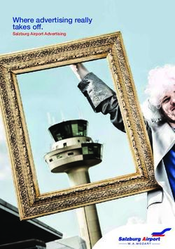 Where advertising really takes off - Salzburg Airport Advertising