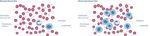 Myelodysplastic Syndromes (MDS) - A Guide for Patients - Leukaemia Care