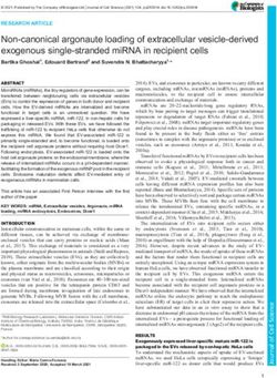 Non-canonical argonaute loading of extracellular vesicle-derived exogenous single-stranded miRNA in recipient cells