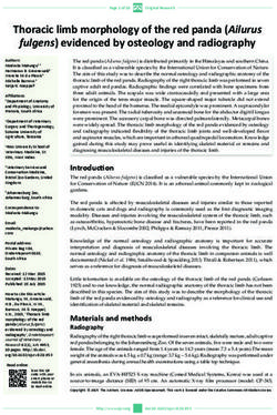 Thoracic limb morphology of the red panda (Ailurus fulgens) evidenced by osteology and radiography