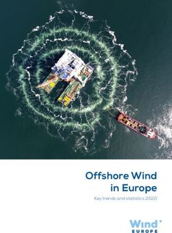 Offshore Wind in Europe - Key trends and statistics 2020 - IG Windkraft