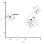 Where Did You Come From? Where Did You Go? Investigating the Origin of Invasive Leptocybe Species Using Distribution Modelling - MDPI
