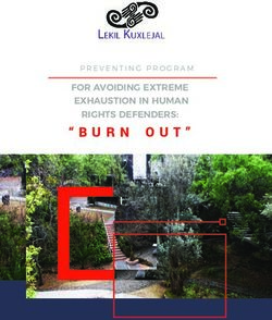 "BURN OUT" FOR AVOIDING EXTREME EXHAUSTION IN HUMAN RIGHTS DEFENDERS: PREVENTING PROGRAM