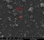 Vinyl-Asbestos Floor Risk Exposure in Three Different Simulations - MDPI