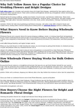 Buy Soft Yellow Roses Wholesale