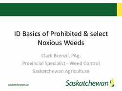 ID Basics of Prohibited & select Noxious Weeds - Clark Brenzil, PAg. Provincial Specialist - Weed Control Saskatchewan Agriculture