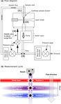 Spectral Intensity Bioaerosol Sensor (SIBS): an instrument for spectrally resolved fluorescence detection of single particles in real time - Atmos ...