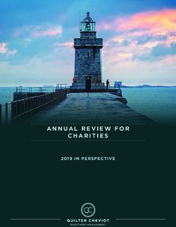 ANNUAL REVIEW FOR 2019 IN PERSPECTIVE - Quilter Cheviot