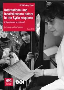 International and local/diaspora actors in the Syria response - A diverging set of systems?