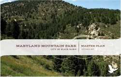 MARYLAND MOUNTAIN PARK MASTER PLAN - CITY OF BLACK HAWK OCTOBER 2019