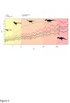 The fast and the frugal: Divergent locomotory strategies drive limb lengthening in theropod dinosaurs - bioRxiv