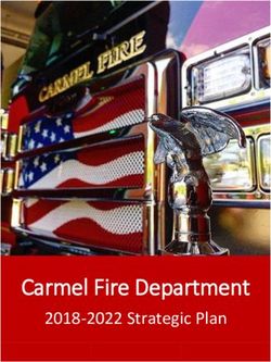 Carmel Fire Department - 2018-2022 Strategic Plan - City of Carmel