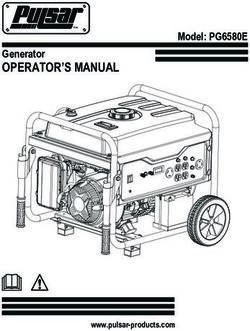 OPERATOR'S MANUAL Generator Model: PG6580E - Pulsar Products