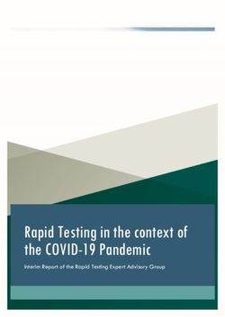 Rapid Testing in the context of the COVID-19 Pandemic - Interim Report of the Rapid Testing Expert Advisory Group