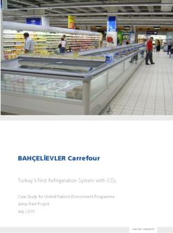 BAHÇELİEVLER Carrefour - Turkey's First Refrigeration System with CO2 Case Study for United Nations Environment Programme