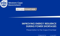 IMPROVING ENERGY RESILIENCE DURING POWER SHORTAGES - Presentation to the Cape Chamber