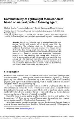 Combustibility of lightweight foam concrete based on natural protein foaming agent