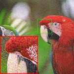 NTGAN: Learning Blind Image Denoising without Clean Reference - BMVC 2020