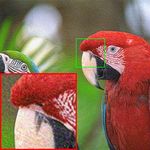 NTGAN: Learning Blind Image Denoising without Clean Reference - BMVC 2020
