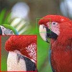 NTGAN: Learning Blind Image Denoising without Clean Reference - BMVC 2020