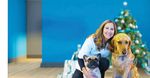 28 In This Issue - Alberta Veterinary Medical Association