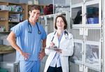 28 In This Issue - Alberta Veterinary Medical Association