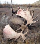 Giant Moose hunting in Russia-Omolon 2021 September
