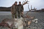 Giant Moose hunting in Russia-Omolon 2021 September