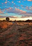 Rural health? Yes please!
