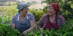 Rural health? Yes please!