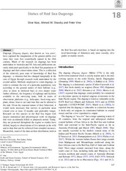 Dirar Nasr, Ahmed M. Shawky and Peter Vine - Rufford Small Grants