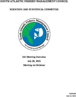 SOUTH ATLANTIC FISHERY MANAGEMENT COUNCIL SCIENTIFIC AND STATISTICAL COMMITTEE - SSC Meeting Overview